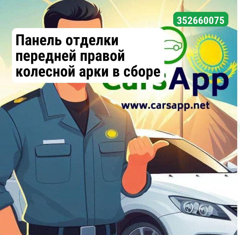 Панель отделки передней правой колесной арки в сборе - черная 14248120-00