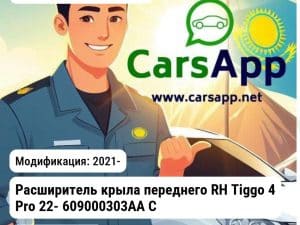 Chery Tiggo 4 Pro 2021- Расширитель крыла переднего RH Tiggo 4 Pro 22- 609000303AA Chery 609000303AA