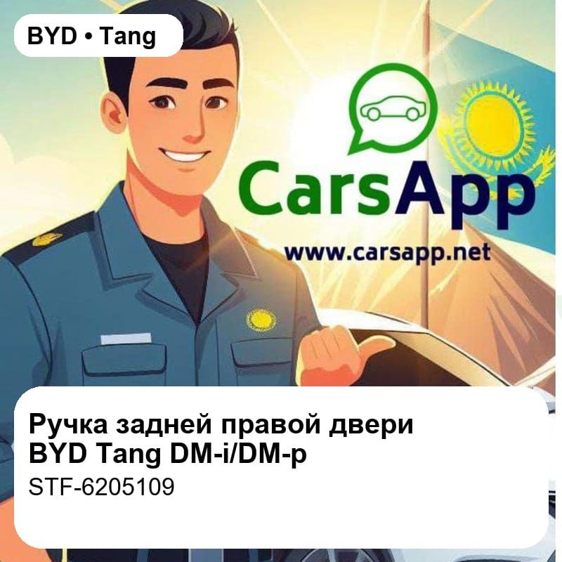 Внешняя ручка задней правой двери для BYD Tang DM-i / DM-p / бензин, оригинал (STF-6205109)